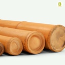 Cañas Bambú Moso