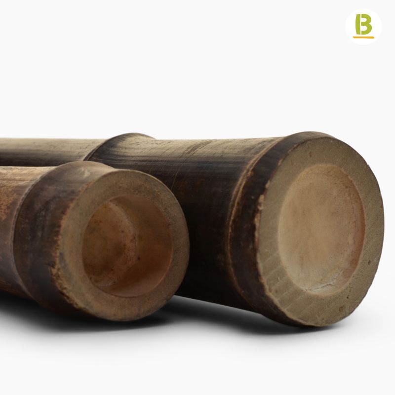 Cañas Bambú Black