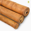 Cañas Bambú Guadua