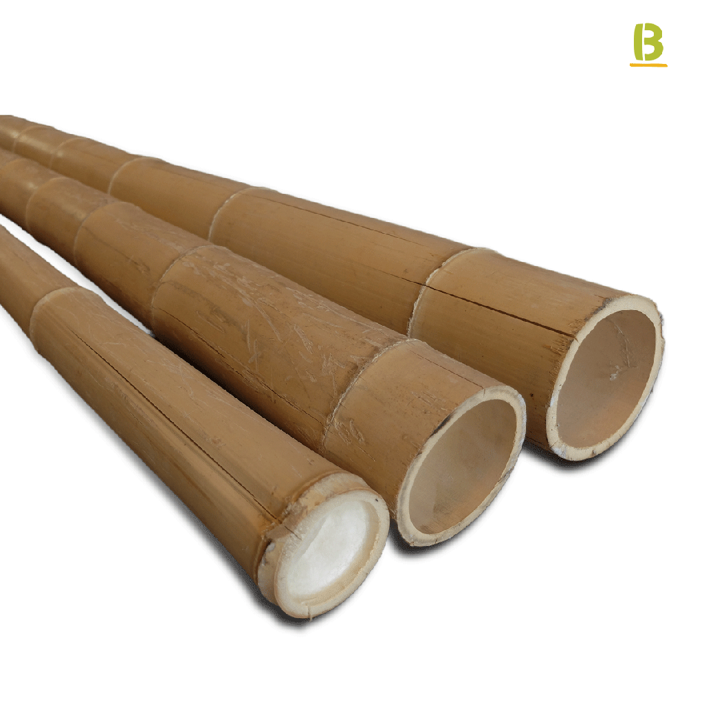 Cañas Bambú Moso Outlet