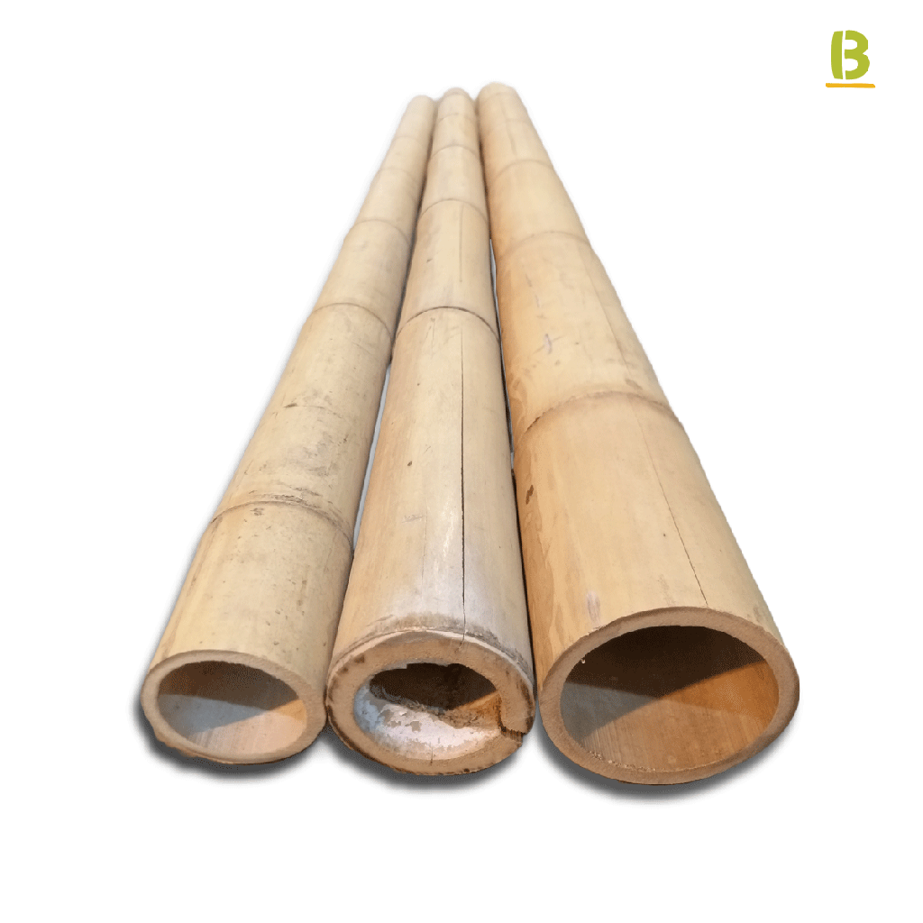 Outlet Guadua Bamboo poles
