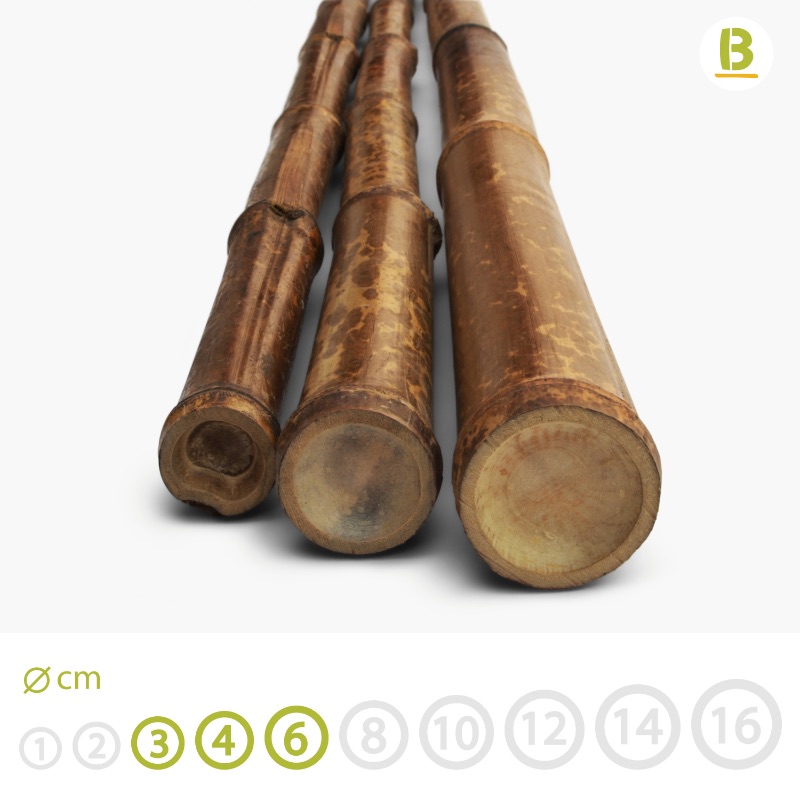 LEOPARD BAMBOO POLES