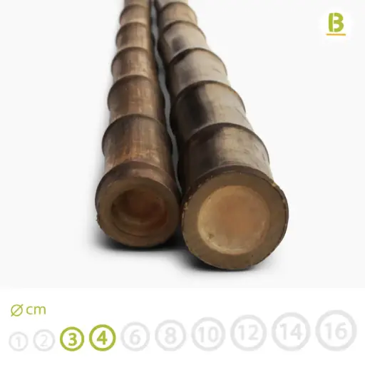 Canas de Bambu Black