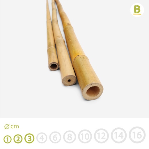 Canne Bambú Tam Vong