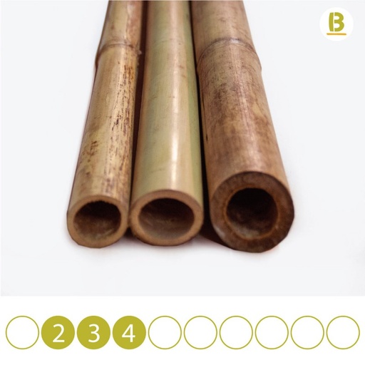 Tonkin Bamboo Poles