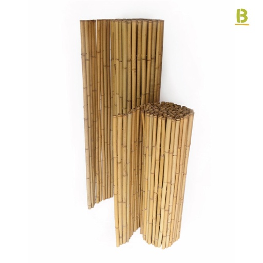 Bamboo Rolled fences Ø25